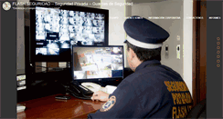 Desktop Screenshot of flashseguridadltda.com